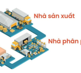 Phương Cá Cảnh ( Đồng Nai )