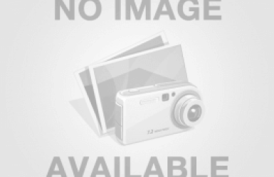 Chăm sóc chiến binh của mình bằng cám Bifood có những lợi ích gì?