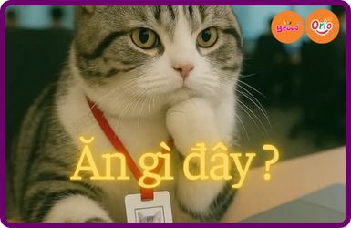 Cách Trị Mèo Kén Ăn Tận Gốc Giúp Boss Ăn Ngon | Orio