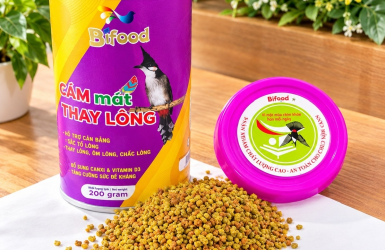 Ngọc Nhân Bifood