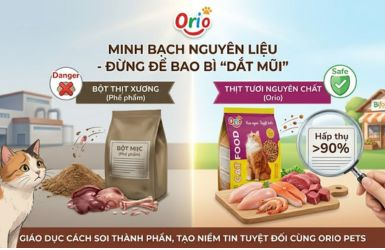 Cách Đọc Nhãn Thức Ăn Cho Mèo: Bột Thịt Xương Hay Thịt Tươi Sạch?