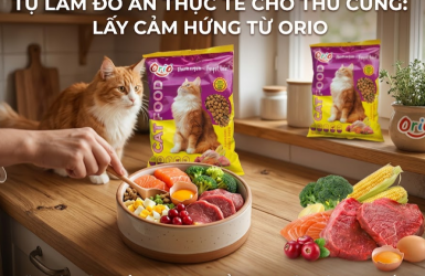Cám cho chó con loại nào tốt