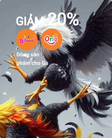 Thức ăn cho Gà - thú cưng khác