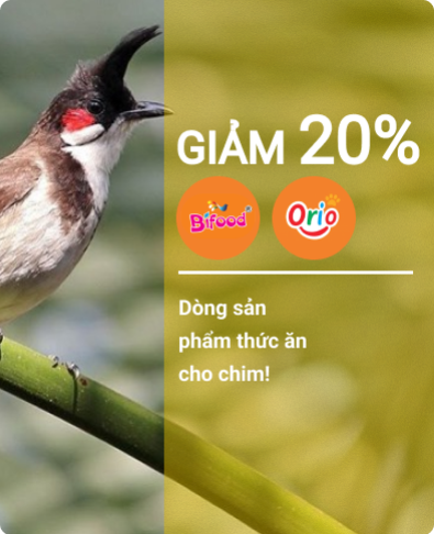 Thức ăn cho Chim