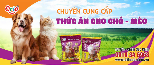 Thức ăn cho Chó - Mèo
