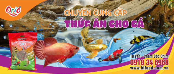 Thức ăn cho Cá