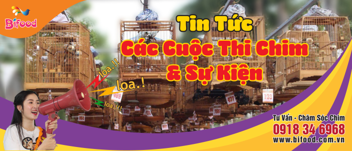 Tin Tức - Các cuộc thi chim