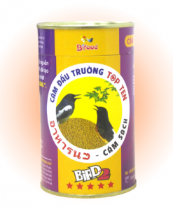 Chích Chòe - Than Lửa Topten