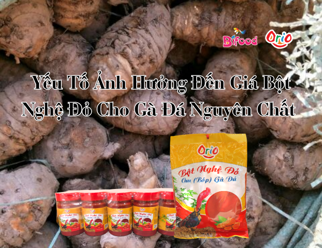 Bột nghệ đỏ cho gà đá nguyên chất