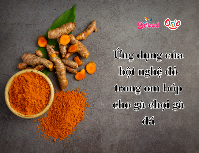 Bột nghệ đỏ cho gà đá nguyên chất