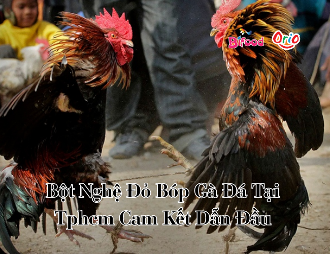 Bột nghệ đỏ bóp gà đá tại Tphcm