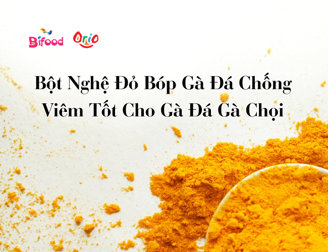 Bột nghệ đỏ bóp gà đá chống viêm